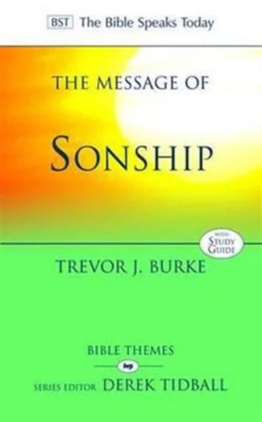 The Message of Sonship av Professor Trevor J. (Author) Burke