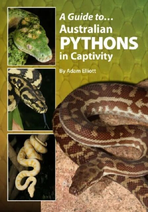 A Guide to Australian Pythons in Captivity av Adam Elliott