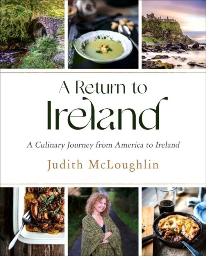 A Return To Ireland av Judith McLoughlin