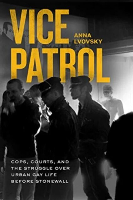 Vice Patrol av Anna Lvovsky