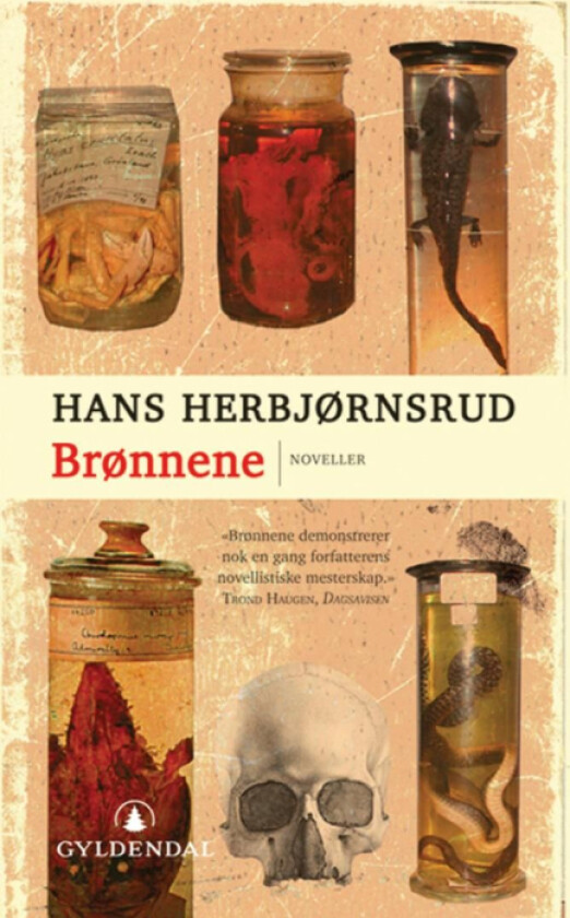 Brønnene av Hans Herbjørnsrud