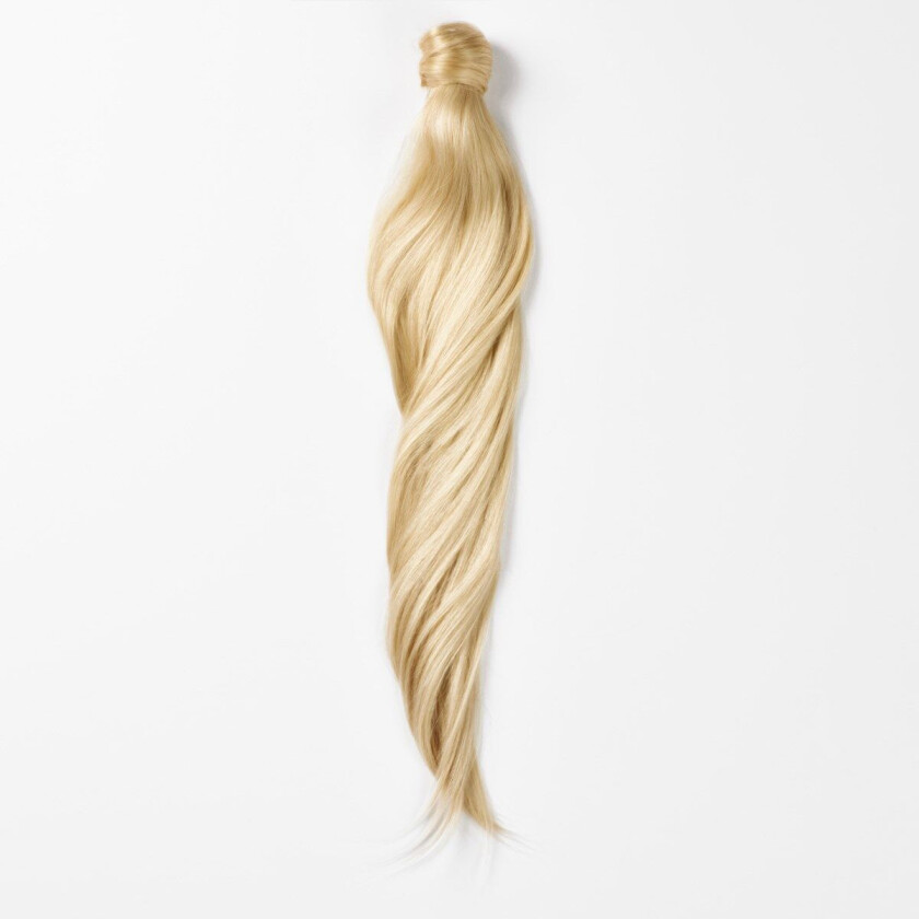 Hair Pieces Sleek Clip-in Ponytail 40 cm 8.3 Honey Blonde