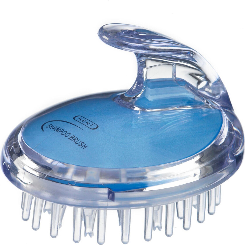 Shampoo Brush Blue
