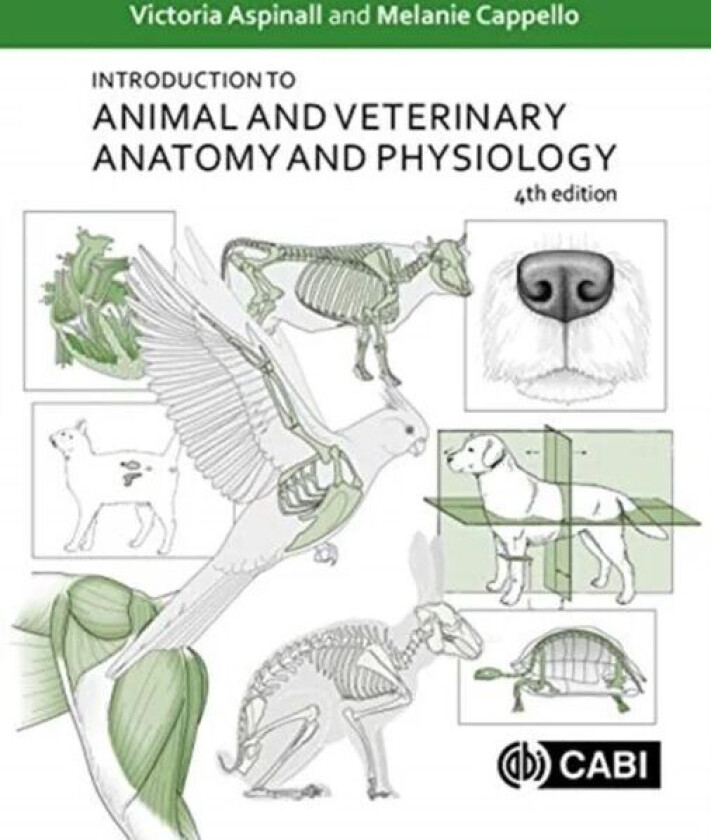 Introduction to Animal and Veterinary Anatomy and Physiology av Victoria (formerly Hartpury College UK) Aspinall