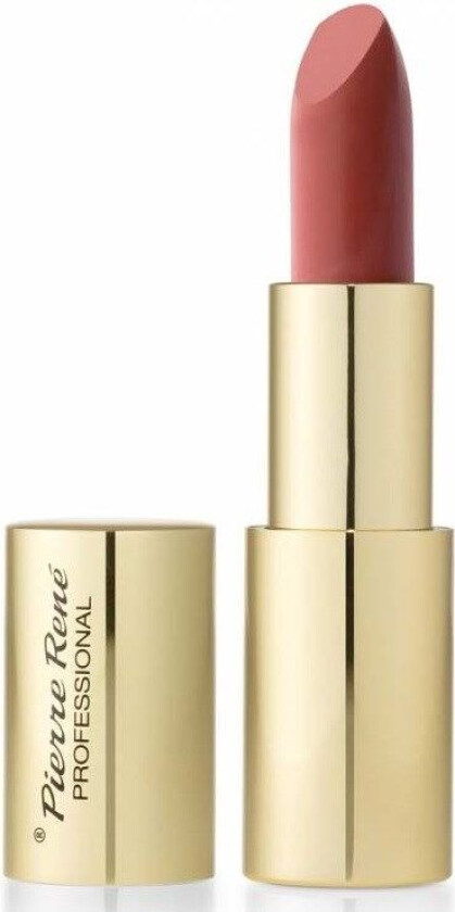 Pierre Rene Royal Mat Lipstick 22 Potter'S Clay