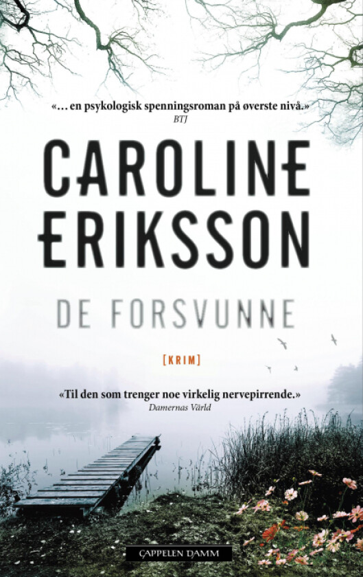 De forsvunne av Caroline Eriksson