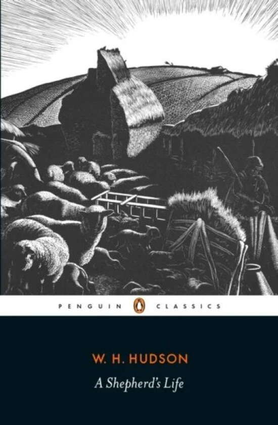 A Shepherd's Life av W. H. Hudson