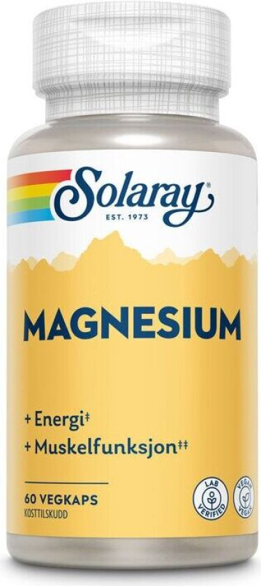 Magnesium 60 kapsler