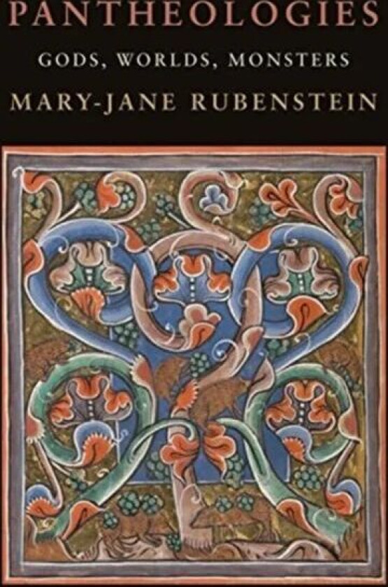 Pantheologies av Mary-Jane (Professor and Chair Wesleyan University) Rubenstein