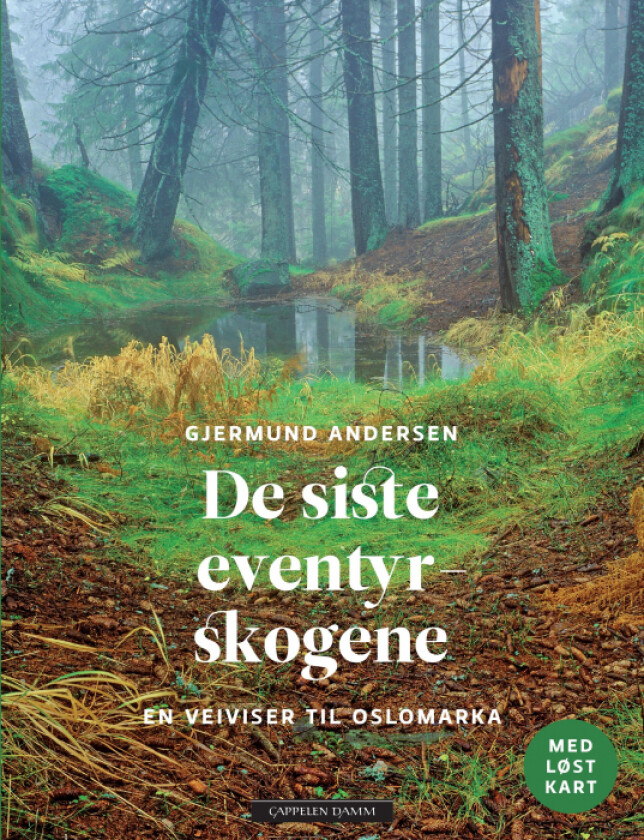 De siste eventyrskogene av Gjermund Andersen