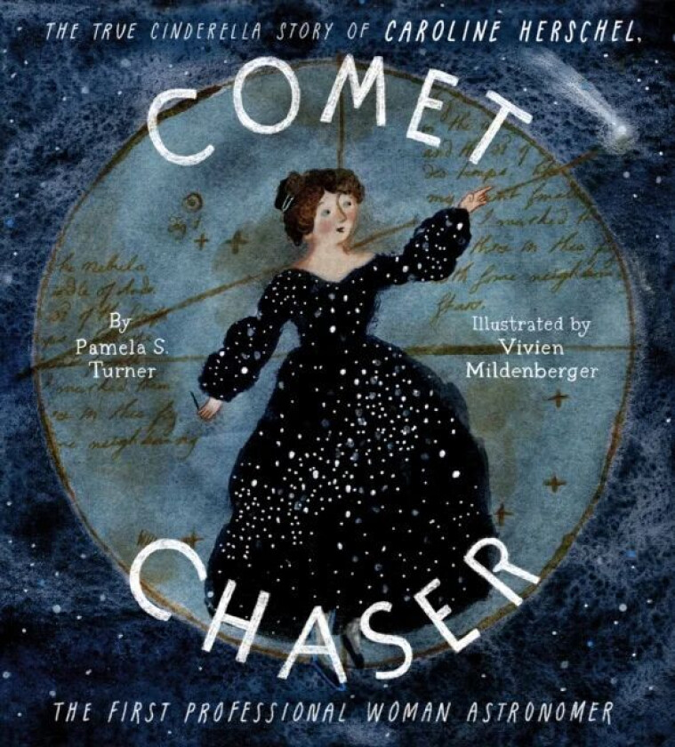 Comet Chaser av Pamela Turner