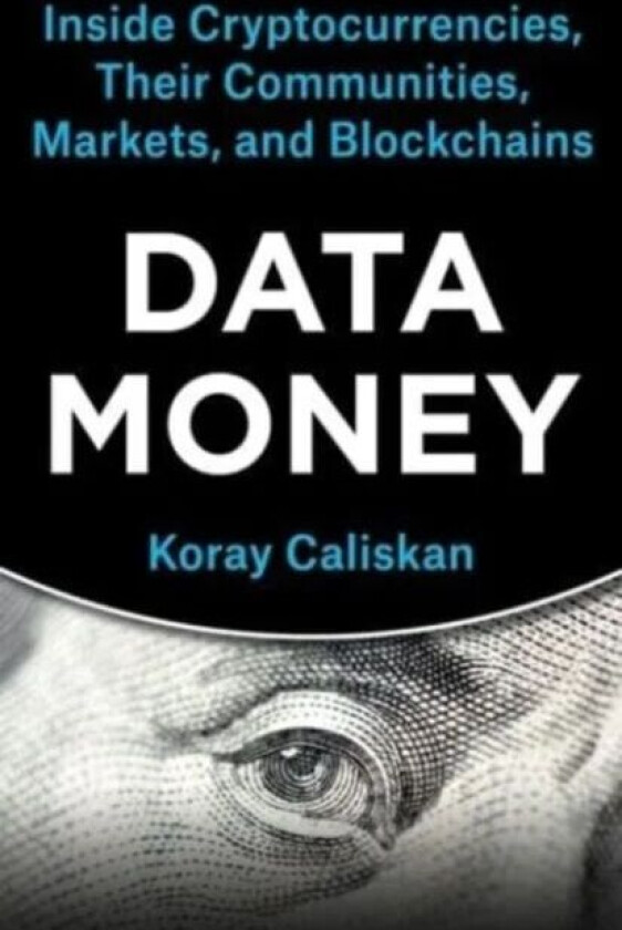 Data Money av Koray Caliskan