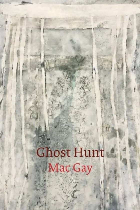 Ghost Hunt av Mac Gay