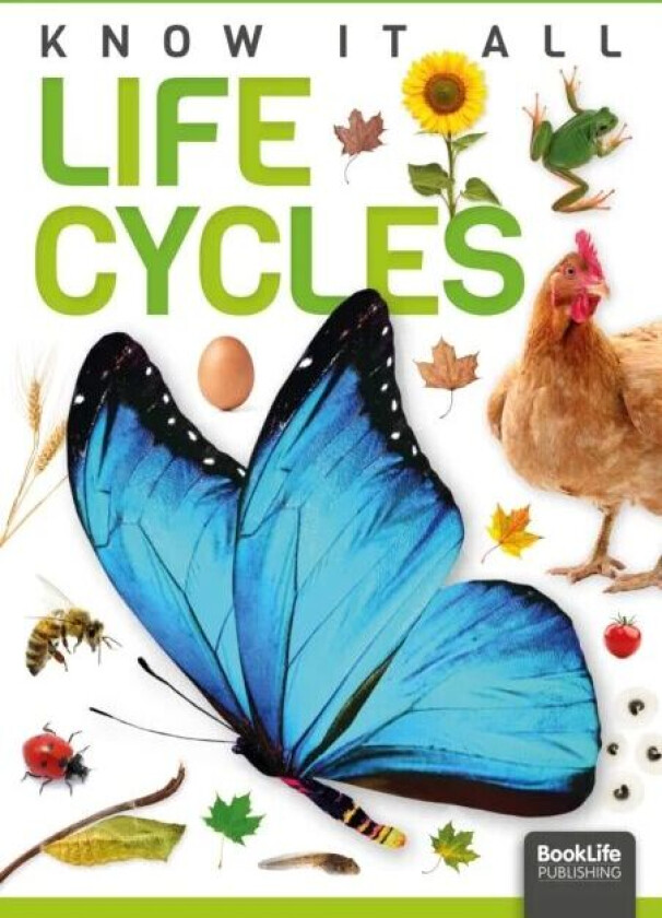 Life Cycles av Louise Nelson