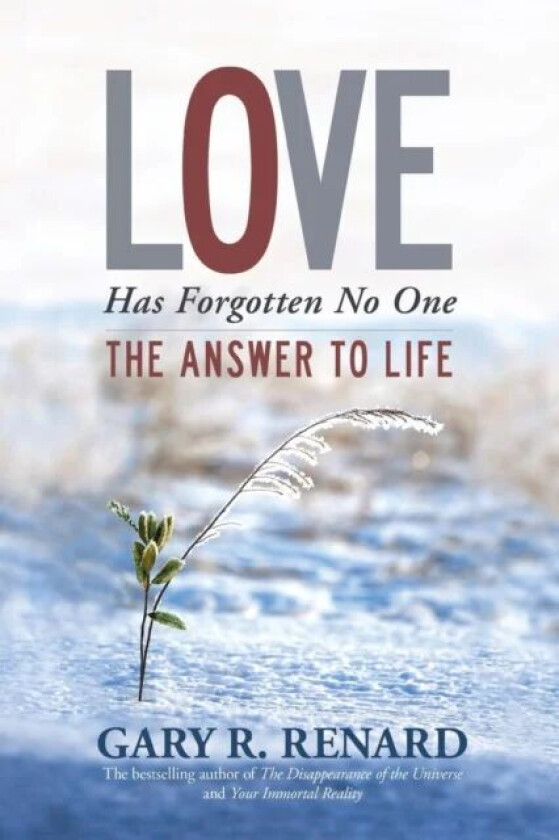 Love Has Forgotten No One av Gary R. Renard