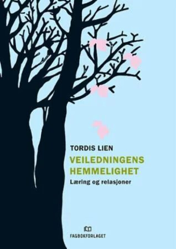 Veiledningens hemmelighet av Tordis Lien
