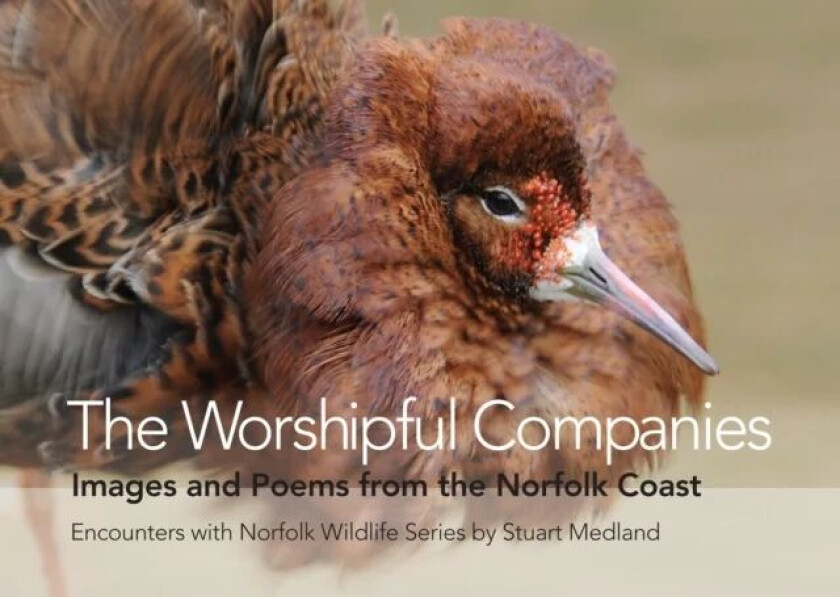 The Worshipful Companies av Stuart Medland