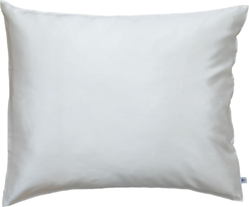Silk Pillow Case White