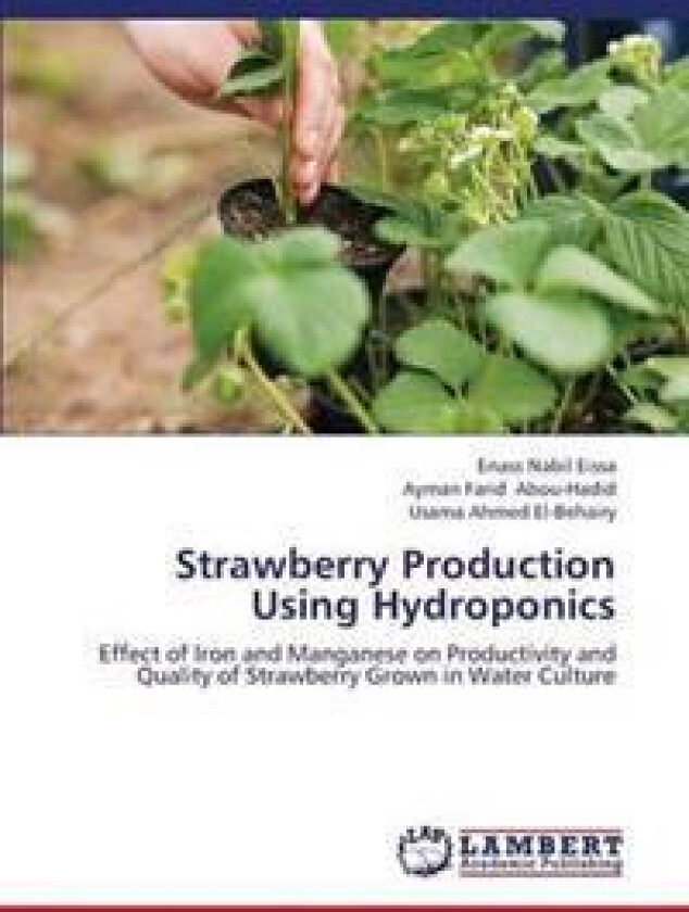 Strawberry Production Using Hydroponics