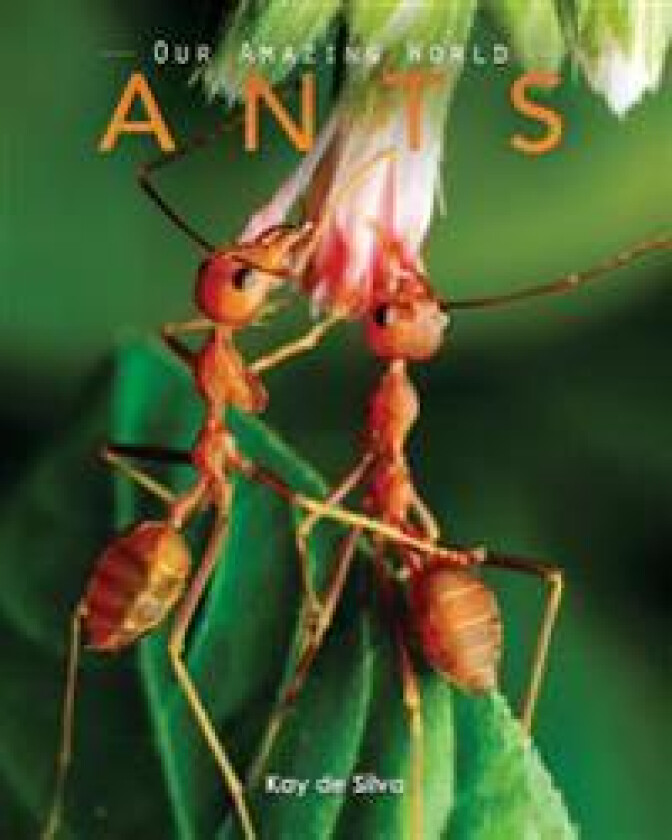 Ants: Amazing Pictures & Fun Facts on Animals in Nature