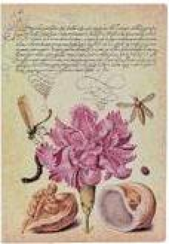 Pink Carnation (Mira Botanica) Midi Lined Softcover Flexi Journal (Elastic Band Closure)
