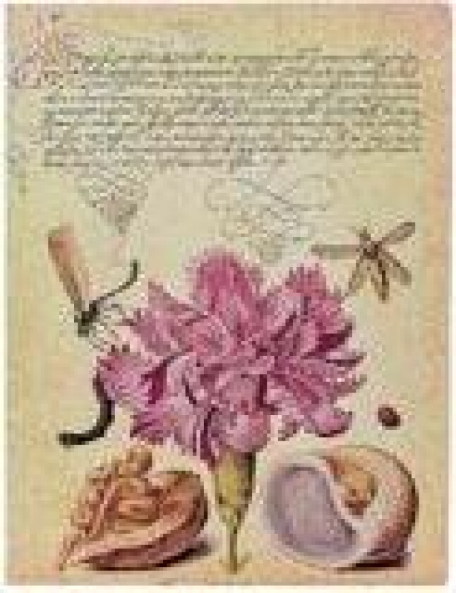 Pink Carnation (Mira Botanica) Ultra Lined Softcover Flexi Journal (Elastic Band Closure)