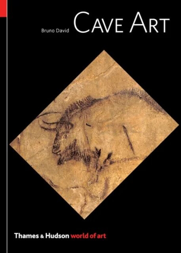 Cave Art av Bruno David