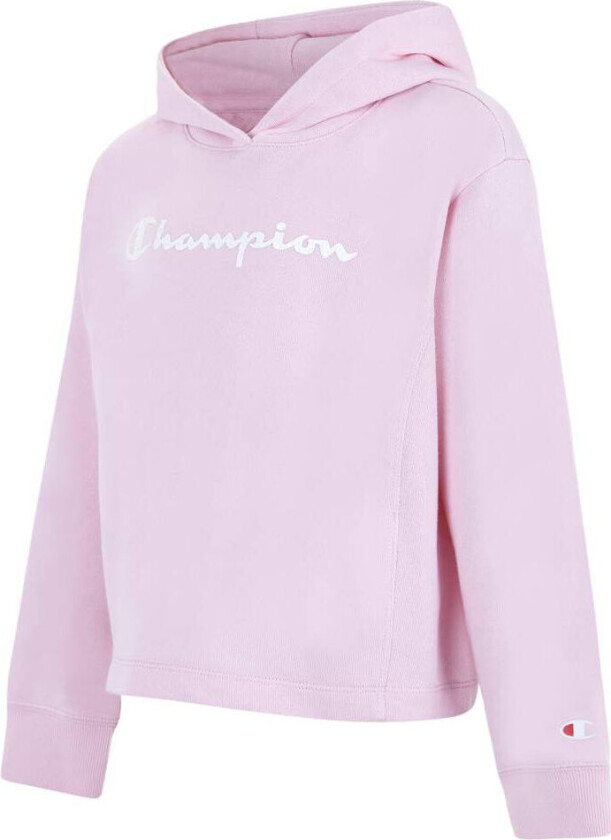 Hooded Sweatshirt Jr Ps/Pink M (140)