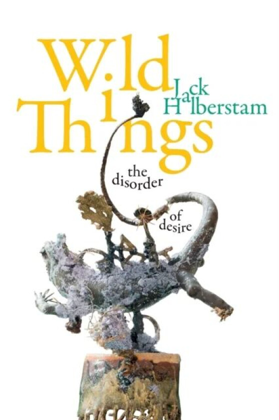 Wild Things av Jack Halberstam