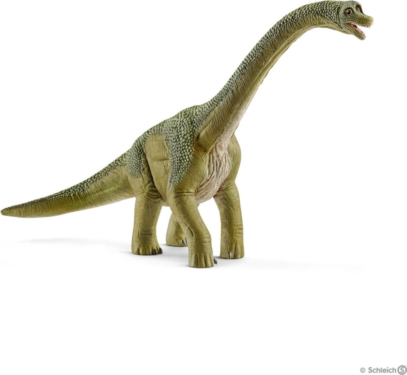 - Dinosaurs - Brachiosaurus (14581)