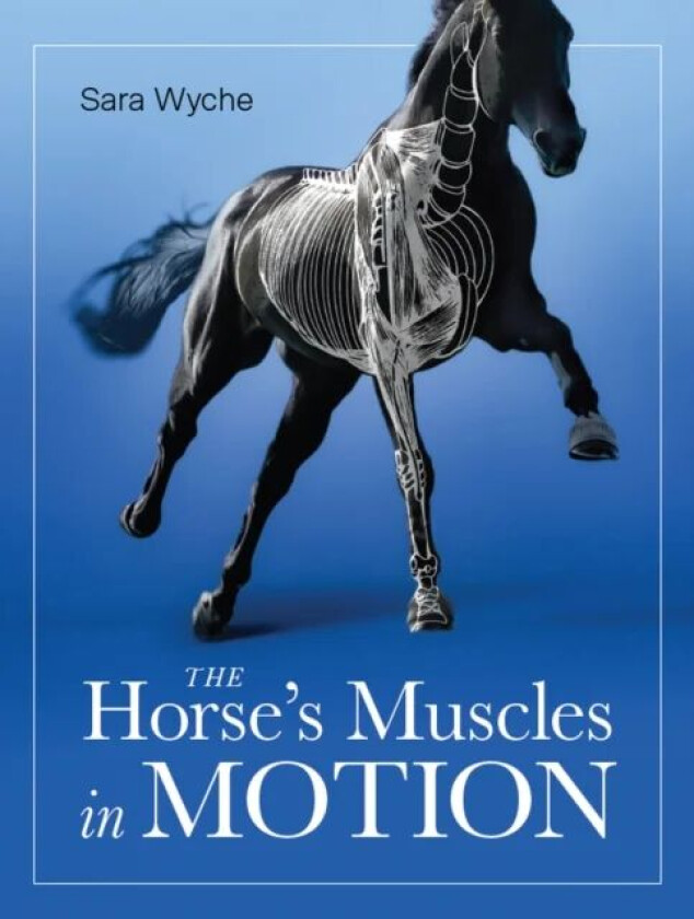 Horse's Muscles in Motion av Sara Wyche