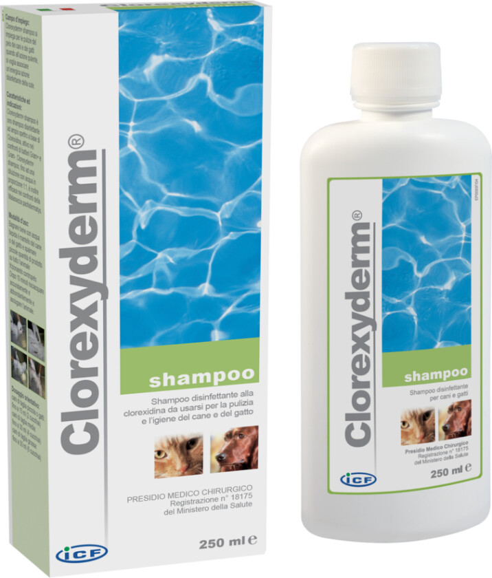 Shampoo - Hår-/hudpleie - Økonomipakke: 2 x 250 ml