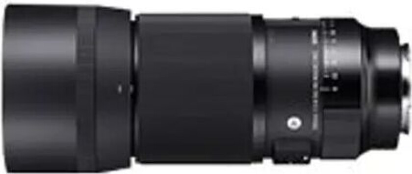 105mm F2.8 Dg Dn Macro Art Sony E-mount