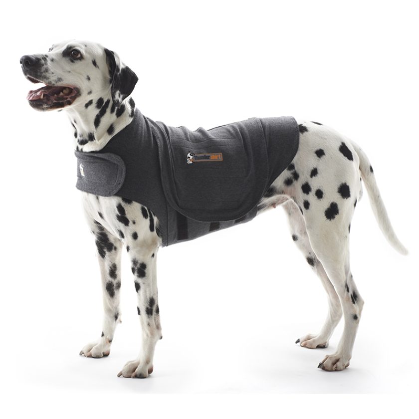 Beroligende Hundedekken 30-50 kg