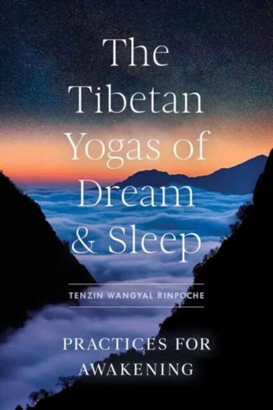 The Tibetan Yogas of Dream and Sleep av Tenzin Wangyal Rinpoche