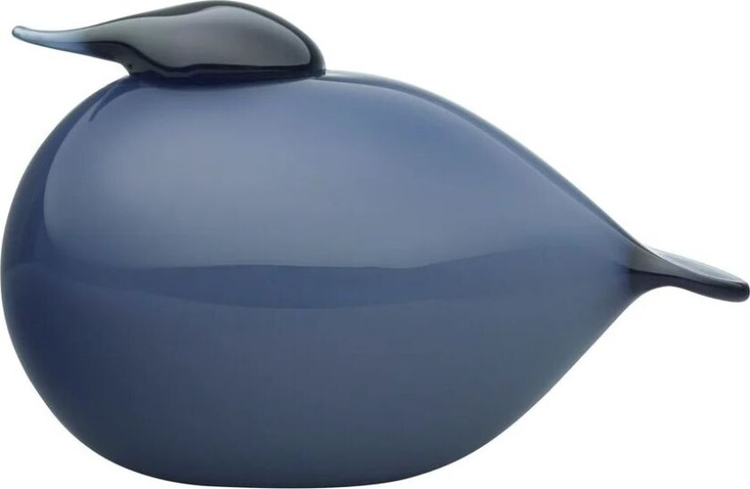 iittala Birds by Toikka Kuulas regn