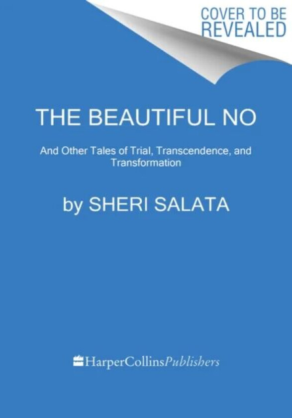 The Beautiful No av Sheri Salata