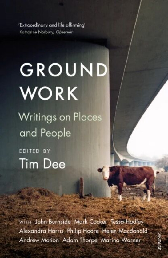 Ground Work av Tim Dee