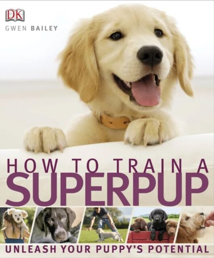 How to Train a Superpup av DK, Gwen Bailey