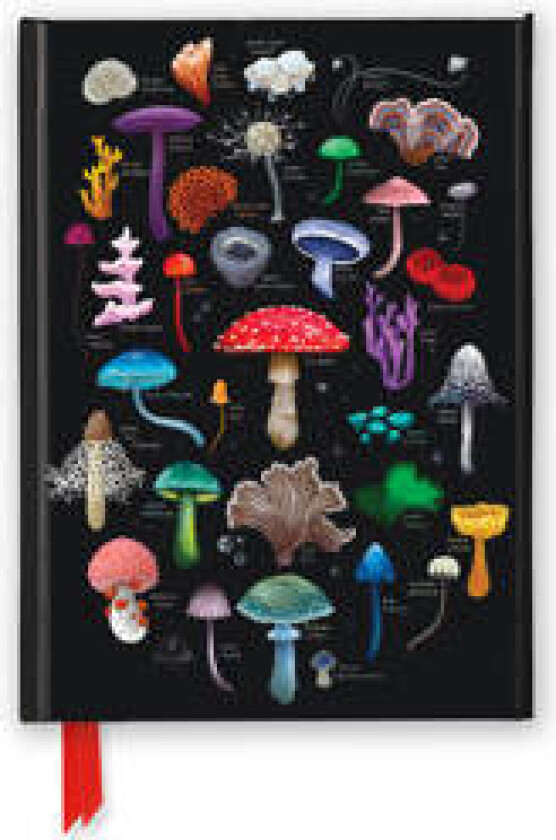 Anna Stead: Mushrooms & Fungi (Foiled Journal)