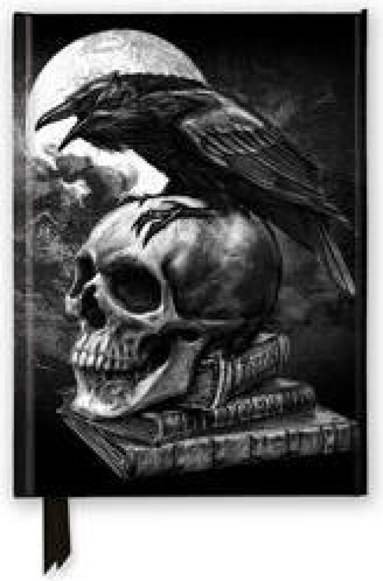 Alchemy: Poe’s Raven (Foiled Journal)