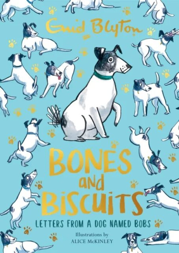 Bones and Biscuits av Enid Blyton
