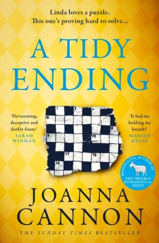 A Tidy Ending av Joanna Cannon