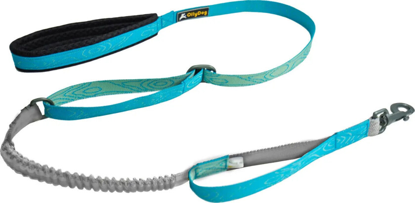 Flagstaff Adjustable Spring Leash OneSize, Sky Bark