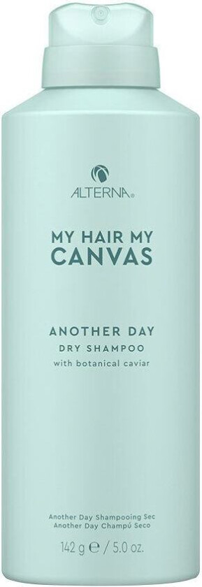 My Hair My Canvas Another Day Dry Shampoo 142g
