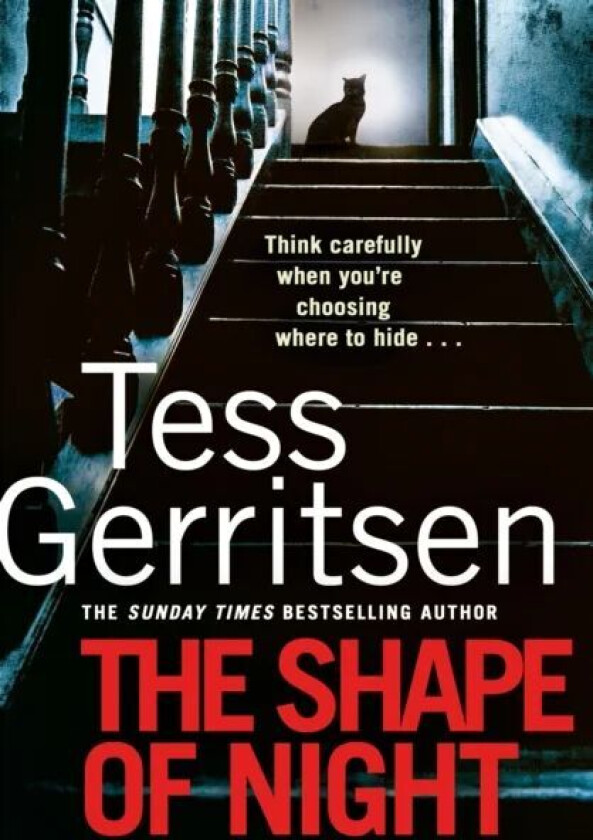 The Shape of Night av Tess Gerritsen