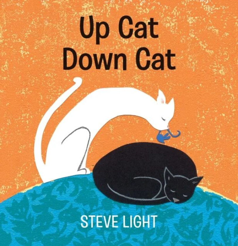 Up Cat Down Cat av Steve Light
