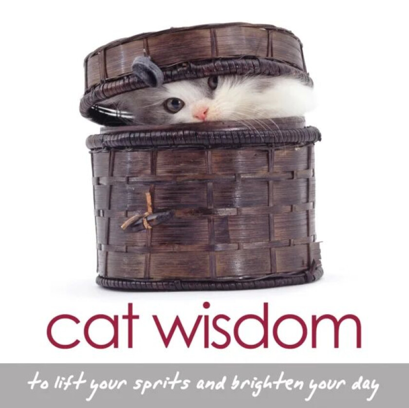 Cat Wisdom av Tanya (Tanya Graham) Graham