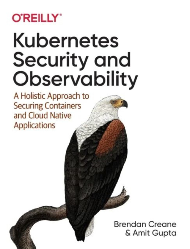 Kubernetes Security and Observability av Brendan Creane, Amit Gupta