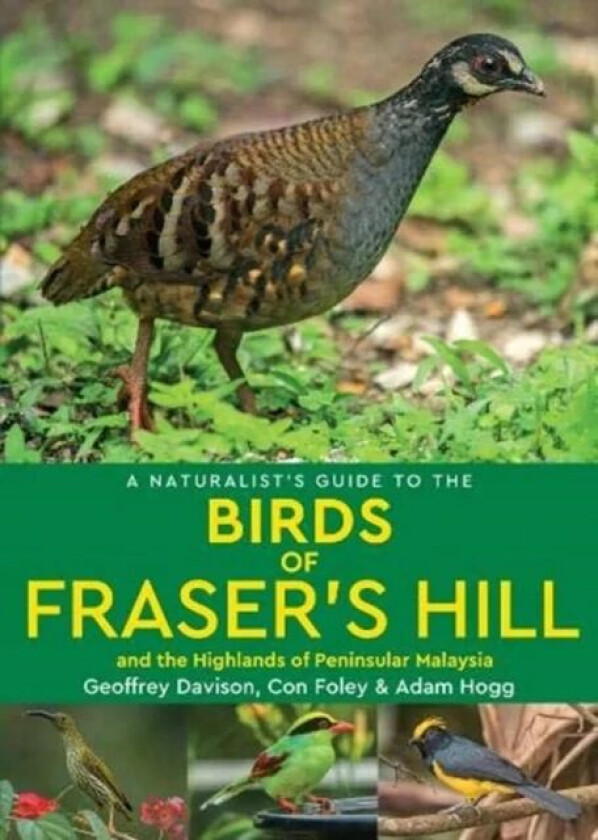 A Naturalist&#039;s Guide to the Birds of Fraser&#039;s Hill & the Highlands of Peninsular Malaysia av Geoffrey Davison